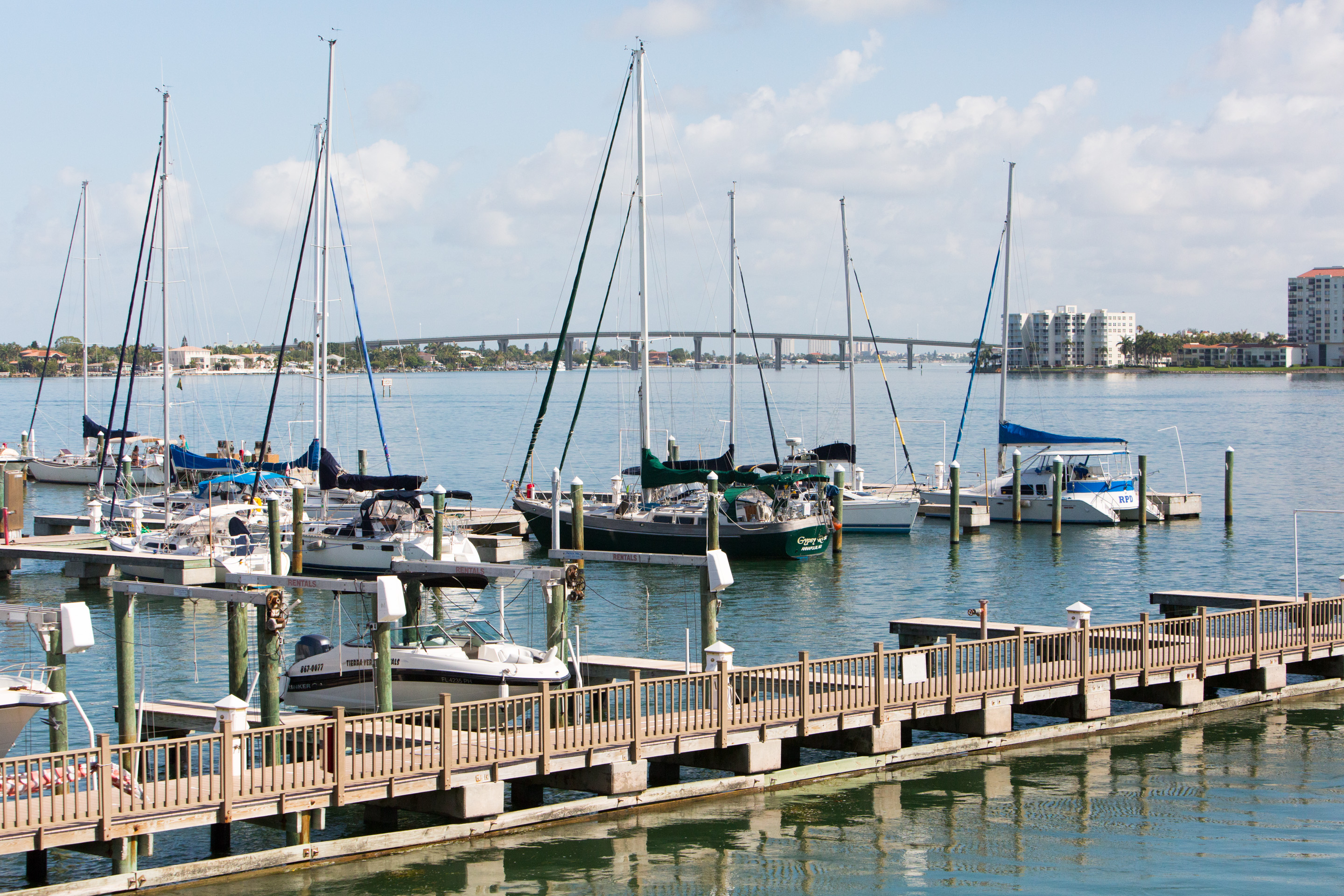 Young professionals enjoying outdoor activities in St. Petersburg